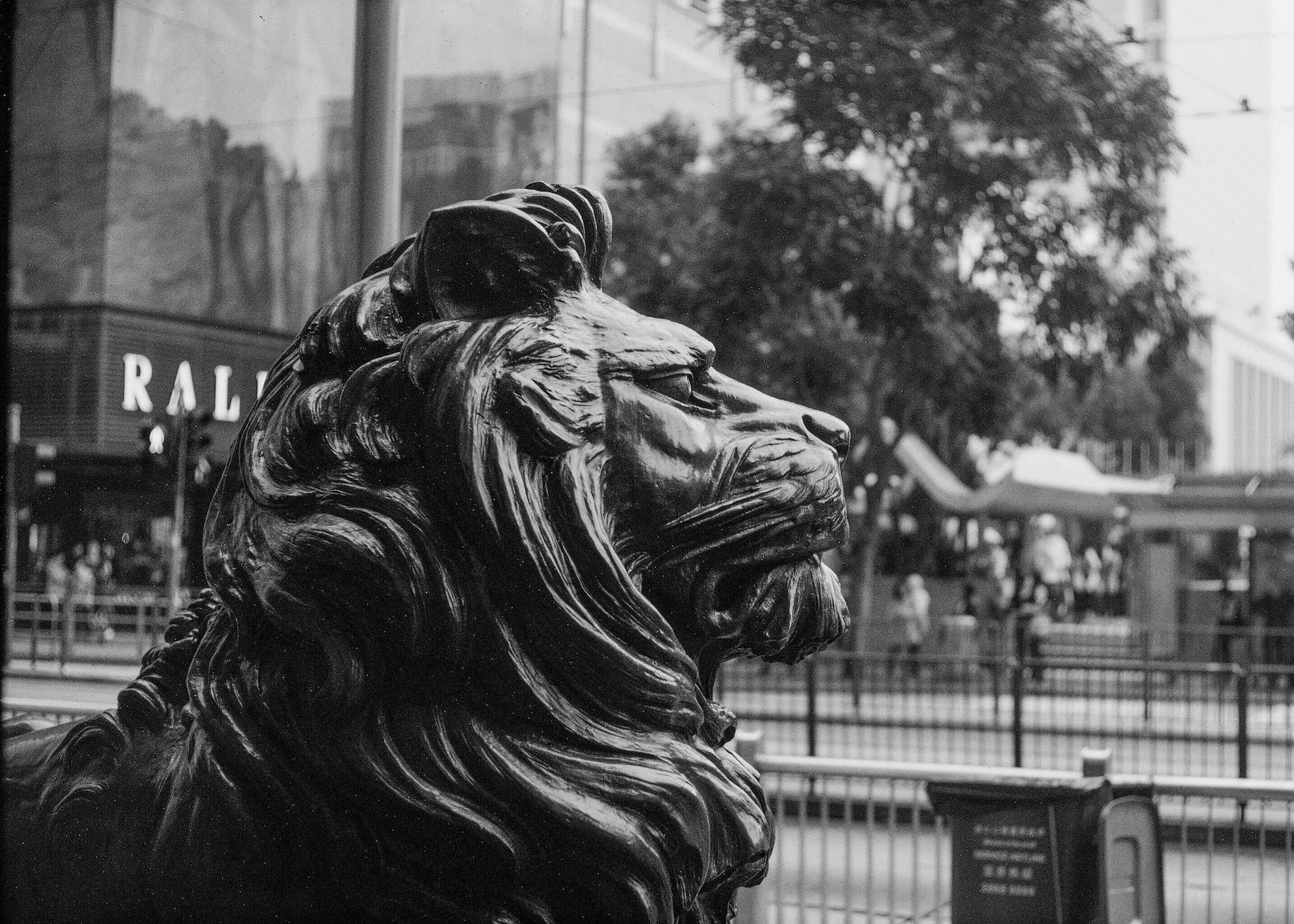 grayscale photo of lion statue
